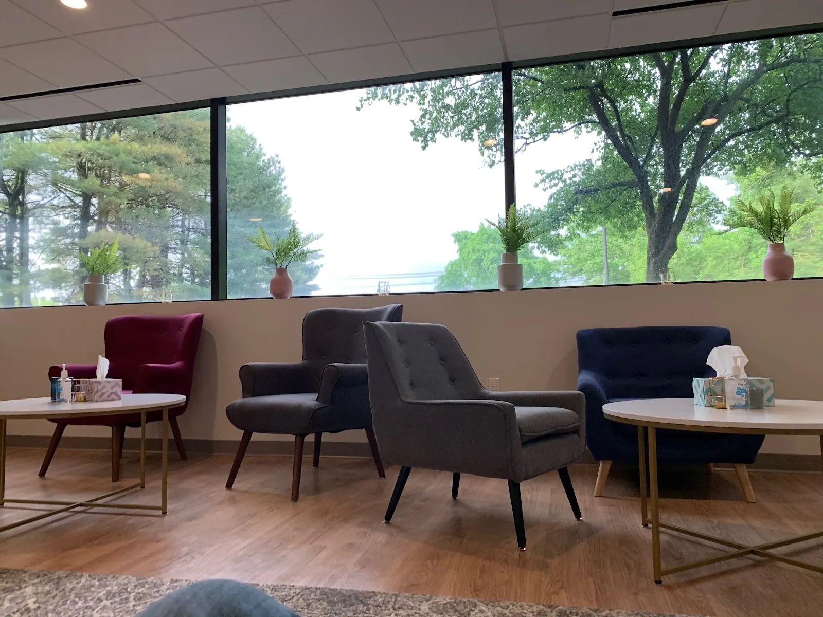 Calm, light-filled waiting area with modern chairs and large windows overlooking trees